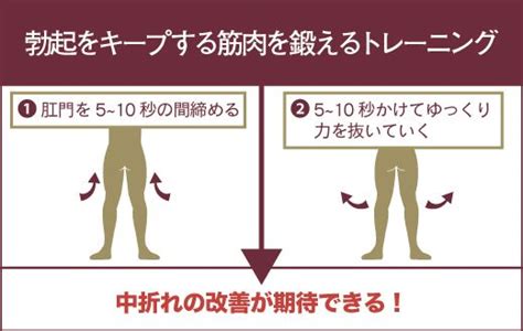 スクワット チントレ|チントレとは？チントレのやり方・効果・おすすめア。